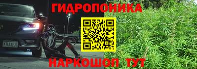 шишки Бузулук