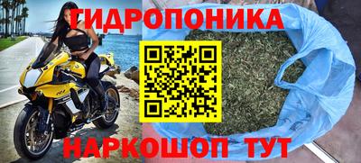 шишки Бузулук