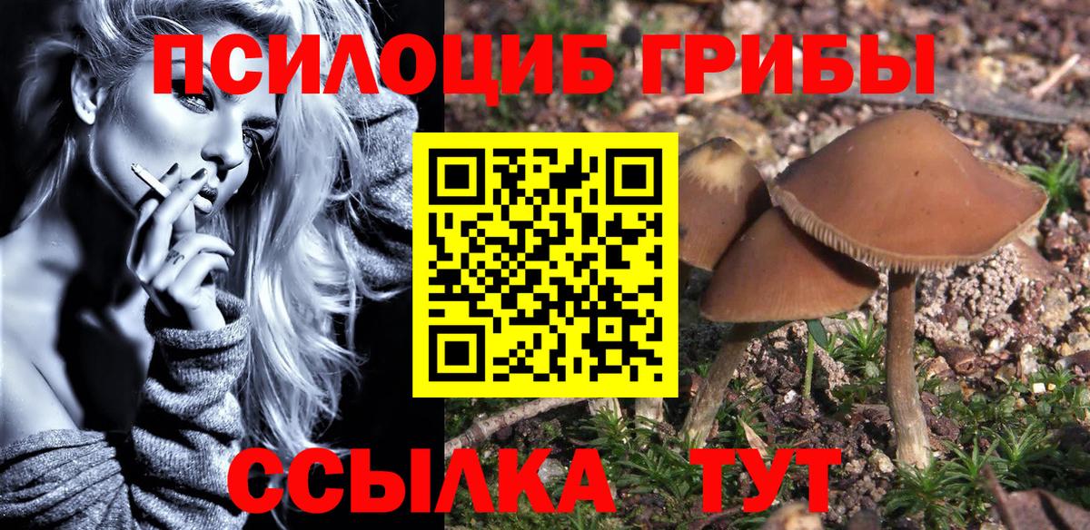 Псилоцибиновые грибы Magic Shrooms  Галлюциногенные грибы ЛСД  Вход с VPN  Усть-Лабинск 