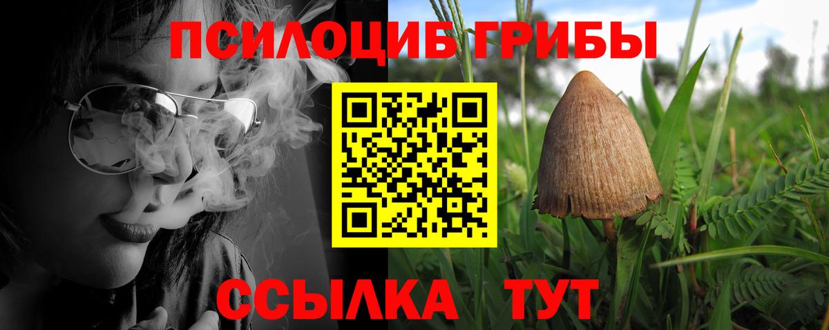 Псилоцибиновые грибы прущие грибы Усть-Лабинск